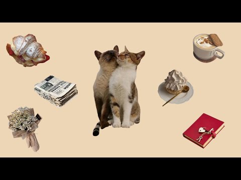 ⊹ ࣪ ˖╰┈➤⌗.ᐟ pov: you and your partner got turned into cats !!! (cozy piano playlist )