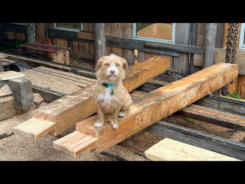 New Deck and Sawing Hemlock