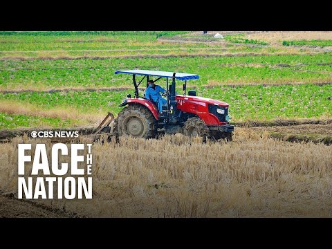 Immigration policies and tariffs impact American farmers, food prices