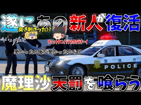 ▶GTAV◀LSPDFR ゆっくり実況 #84 霊夢と魔理沙のパトロール日記