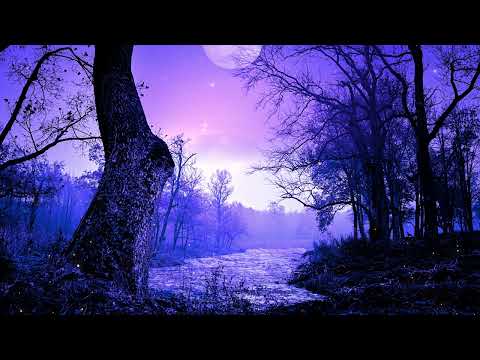 Meditation Music 528Hz | Positive Energy Cleanse | Deepest Miracle Music | Calming Music Healing