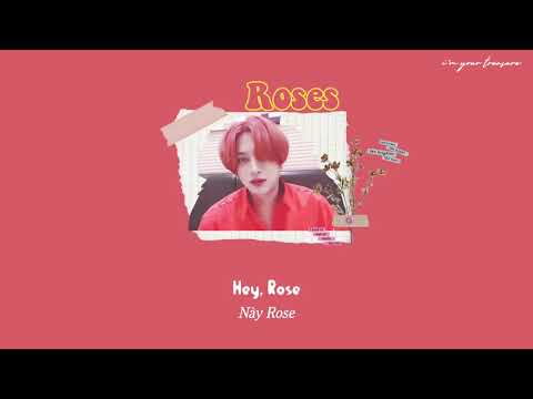 [Vietsub/Lyrics] Roses - Finn Askew