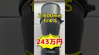 240万円超え！1260mm！驚異の 新超望遠レンズ【NIKKOR Z 600mm f/4 S】テレコン内蔵