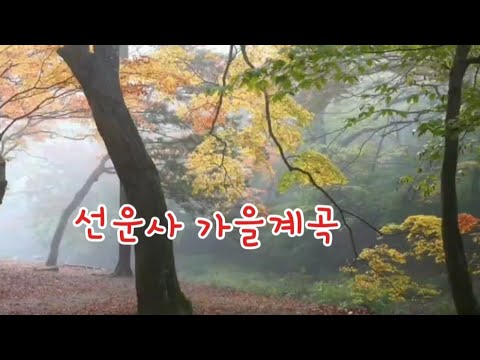 선운사 가을계곡  도솔천