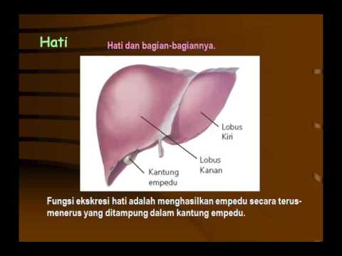 Powerpoin Biologi-PPT07BAB 8 SISTEM EKSKRESI