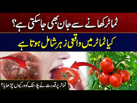 Tomatoes Are Poisonous? | Dangerous To Health | Must Watch This Video Before Eating I City41