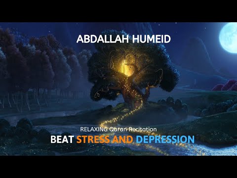 Abdallah Humeid - Emotional Quran Recitations