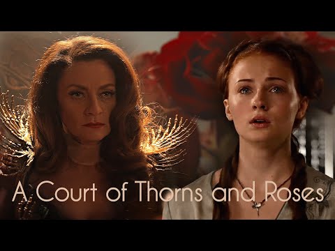 ► Luminary - A Court of Thorns and Roses (Acotar Concept)