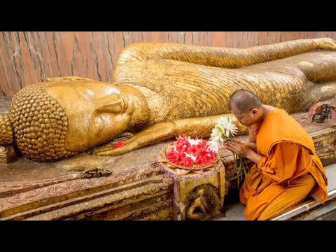 वियतनाम के बौद्ध लोग बोधगया आए || Vietnam buddhism || Buddha Purnima 2023 || kushinagar