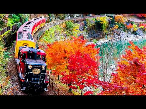 10 Unique Japanese Trains You Must Ride! Stunning Views and Unforgettable Journeys