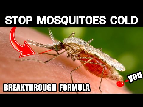 How to Get Rid of Mosquitoes Naturally - Small - Medium & Large