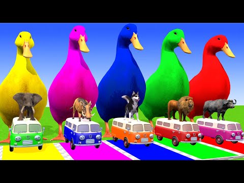 5 Giant Duck Cartoon,Cow,Elephant,Tiger,Lion,Dinosaur,Paint Wild Animals Crossing Fountain Animation