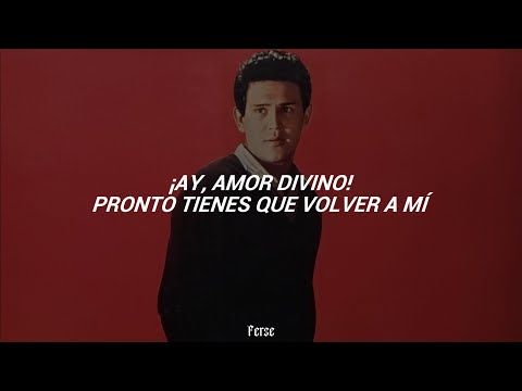 Leo Dan - Como Te Extraño Mi Amor ❤️ (Letra) "ay, amor divino, pronto tienes que volver a mi"