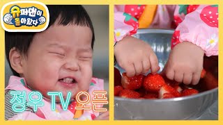 딩가딩가 베짱이♬ 정우TV 오픈! (feat. 준호아빠와 형아는 딸기청 만드는중)  [슈퍼맨이 돌아왔다/The Return of Superman] | KBS 250205 방송