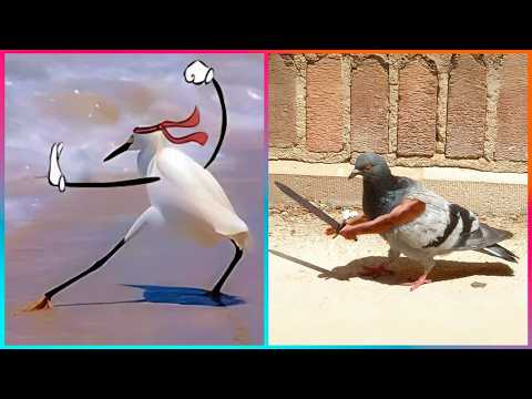 Birds with Arms being the Funniest Thing Ever​ ▶ 3 @LeopARTnik