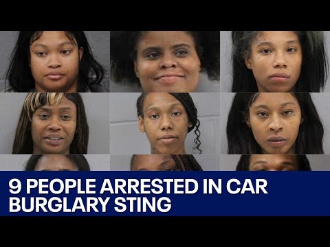 Austin crime: 9 people charged with multiple vehicle burglaries | FOX 7 Austin