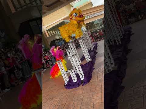 Stunning lion dance