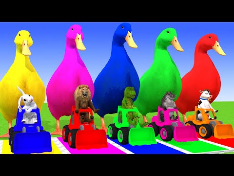 5 Giant Duck Cartoon,Cow,Mammoth,Rabbit,Lion,Dinosaur,Paint Wild Animals Crossing Fountain Animation