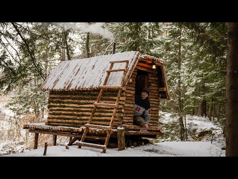 Building complete and warm Survival Shelter. 7  Days alone in Woodland Cabin. Winter Bushcraft. ASMR