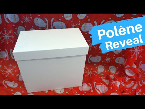 Christmas Reveal! My First Polène Bag Unboxing