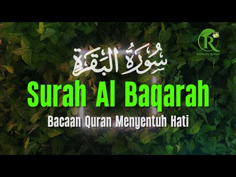 Surah Al Baqarah سورة البقرة With a Beautiful Voice Makes the Heart Calm | Ismail Al Qadi