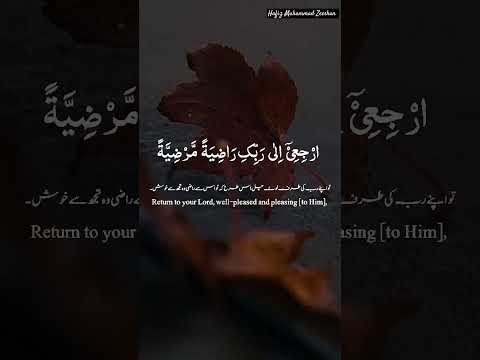 Surah Al Fajr #holyquranforall #islamicvideo #quran #beautifulquranrecitation #ytshort