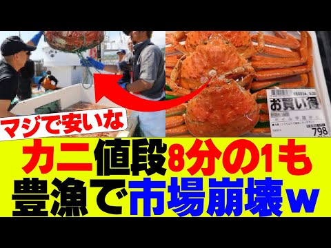 【超お得】カニの値段半額以下に、取れすぎて市場崩壊ｗ【オオズワイガニ】