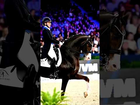 Dressage vs Showjumping. Who wins?