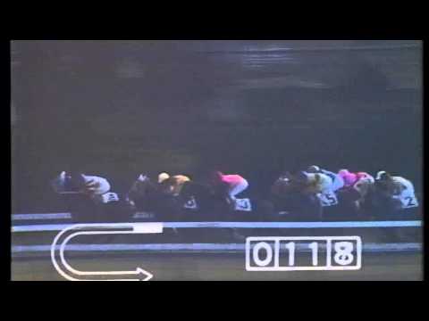 1971　牝馬東タイ杯　トウメイ