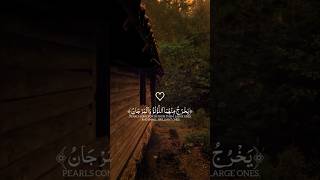 #qurantilawathearttouchingvoice #youtubeshort #shortsvideo #beautiful #alquran#