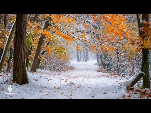 Beautiful Relaxing Music ❄️ Stop Overthinking, Stress Relief Music ❄️ Relaxing Music