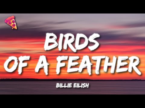 Billie Eilish - BIRDS OF A FEATHER (Lyrics)