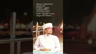 #safwan_saqafi_pathapiriyam#islamicvideo #shortvideo