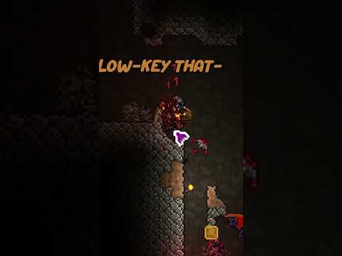 Drunk Terraria Moment