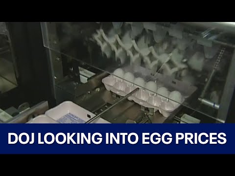 DOJ to investigate egg prices | FOX 7 Austin