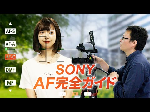 【保存版】SONY AF完全ガイド！プロの設定も教えちゃいます