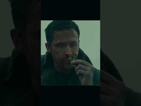 I can fix that - Blade Runner 2049 #fypyoutube #bladerunner2049edit #anadearmasedit  #lovestory