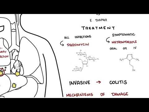 Amebiasis - entamoeba histolytica symptoms, pathophysiology, diagnosis, treatment