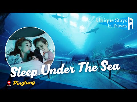 Most Magical Night in the Deep Sea: Natl. Museum of Marine Biology & Aquarium｜Unique Stays in Taiwan