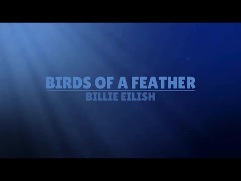 Birds of a Feather - Billie Eilish Lyrics