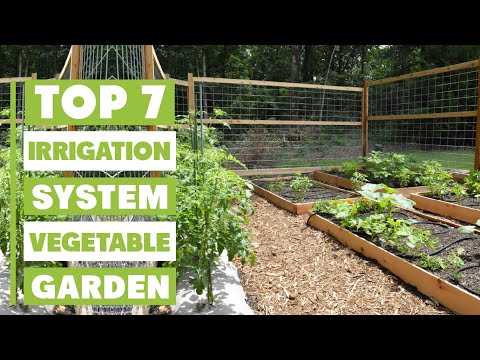 Best Irrigation System for Vegetable Garden – Save Water & Boost Growth!