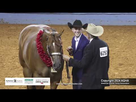 3-Year-Old Geldings - 2024 AQHA World Championship Show