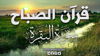 قرآن الصباح | سورة البقرة لحفظ وتحصين المنزل |  تلاوة هادئة تريح القلب