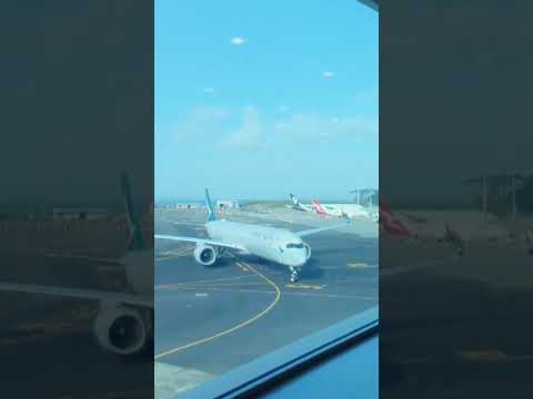 Cathay Pacific A350 taxiing to the gate#kuyabogpilotzn #airbus #a350 #airplane #airbusa350 #auckland