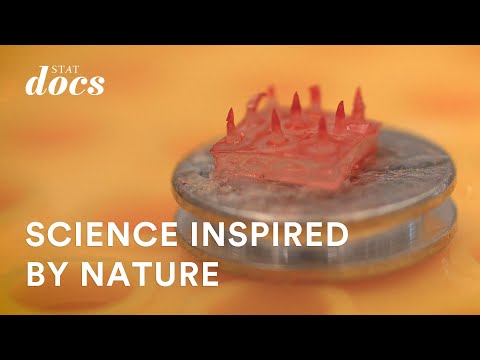 Glue like a snail’s trail: Turning to nature for surgical innovations