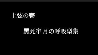 上弦の壱黒死牢月の呼吸型集