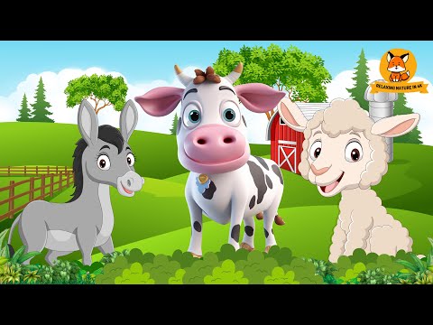 Farm Animal Sounds: Donkey, Cow, Sheep, Goat, Duck - Cute Animal Videos