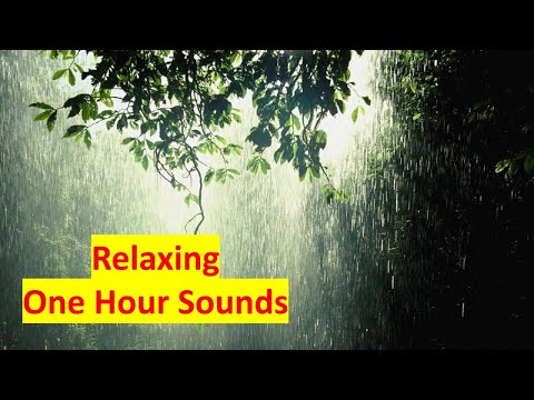 RELAXING Rain and Thunder Sounds || Fall Asleep Within 5 Minutes