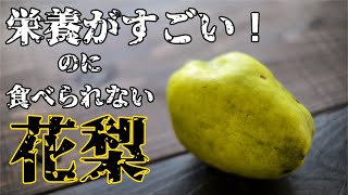 栄養があるのに食べられない！花梨