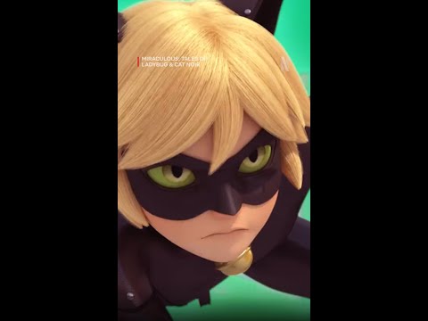 A literal catfight 😹 Miraculous: Tales of Ladybug & Cat Noir is now playing on Netflix!